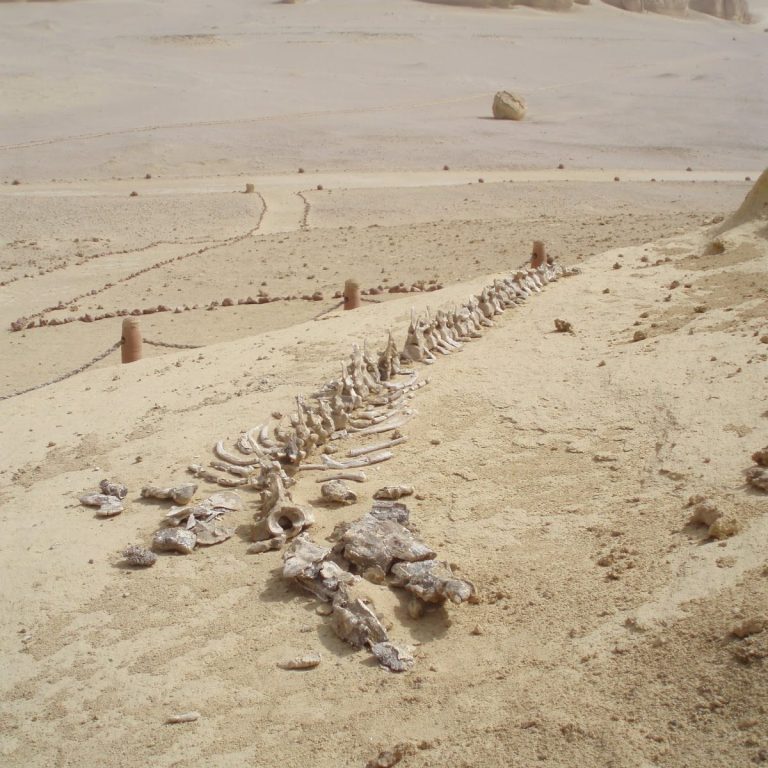 Man walks around he site of Cerro Quemado.