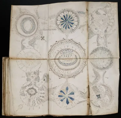 A spread from the Voynich Manuscript that folds out into an elaborate, multi-page diagram