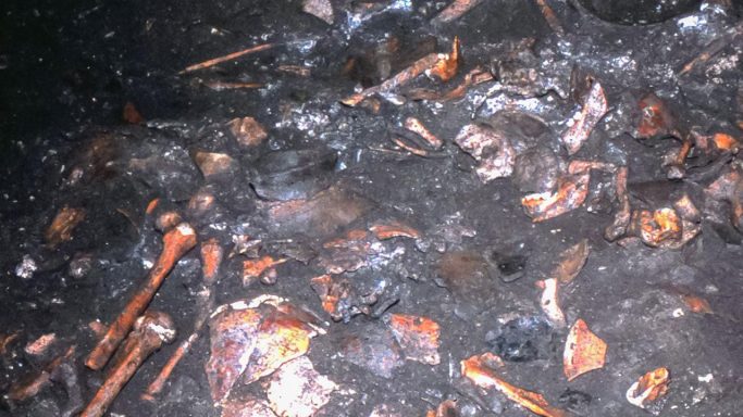 Defleshed and disarticulated bones from Scaloria Cave