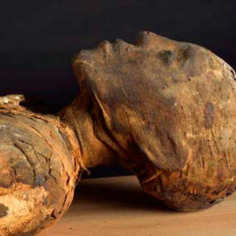 The site of Cerro Quemado Man walks around he site of Cerro Quemado.