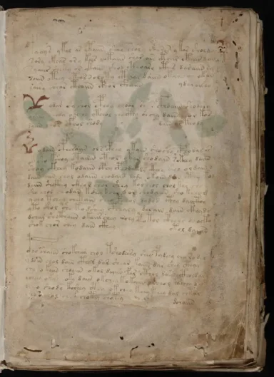 Voynich Manuscript scans reveal early decoding attempt