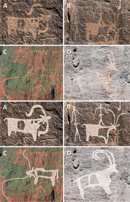 Rare ancient rock art found in Saudi Arabian lava tube