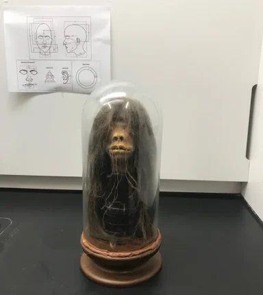 How a ceremonial shrunken head, held by a US university for decades, was finally returned to Ecuador 