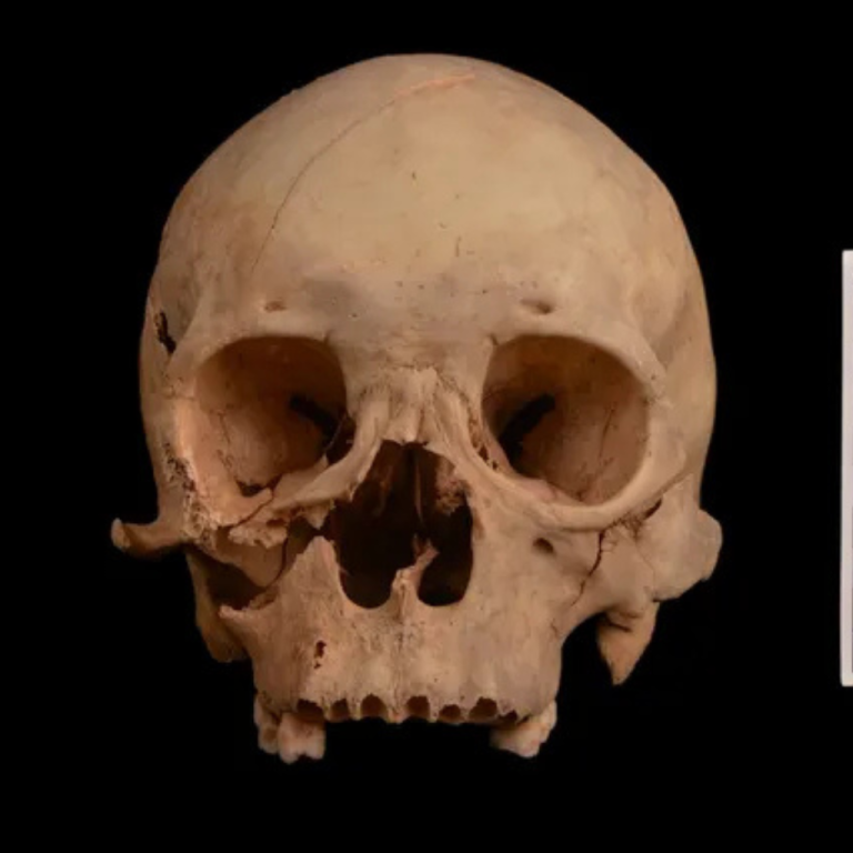 The site of Cerro Quemado Man walks around he site of Cerro Quemado.