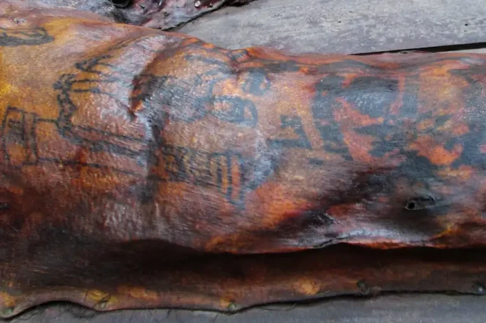 Tattoos have helped reveal details of a 19th-century man who had his skin preserved