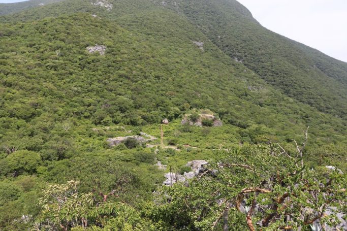 Laser mapping reveals massive ancient Zapotec city in Mexican forest