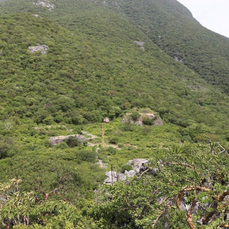 Man walks around he site of Cerro Quemado.