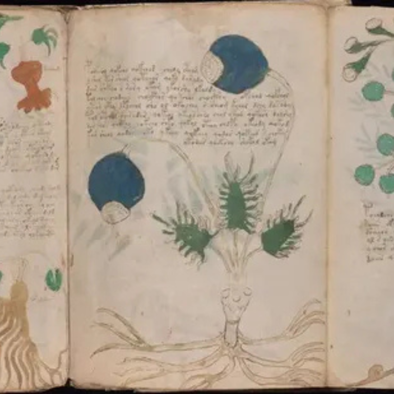 The site of Cerro Quemado Man walks around he site of Cerro Quemado.